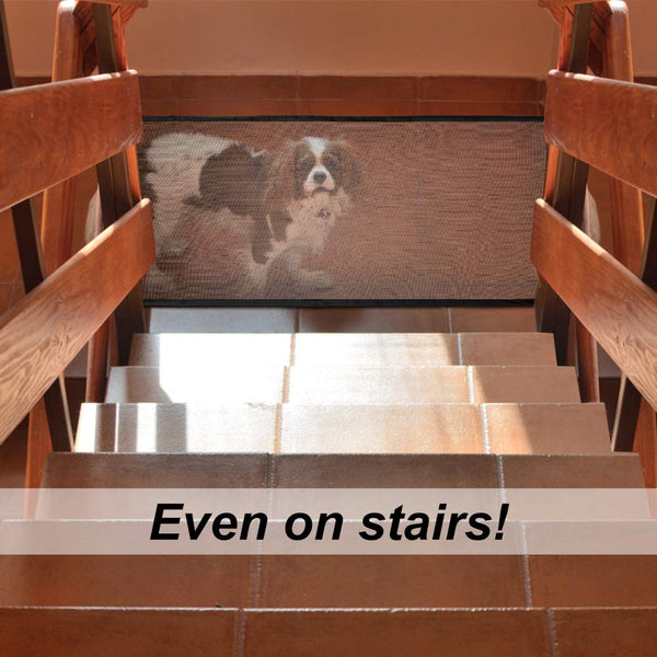 Barrière portable pour animaux de compagnie