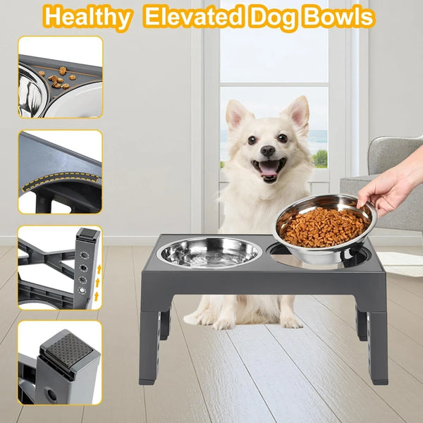 Gamelles surélevées réglables pour chiens et chats – confort, santé et praticité à chaque âge