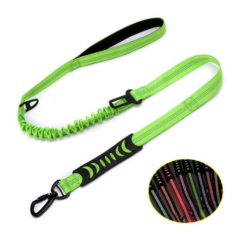 Laisse Bungee pour chien