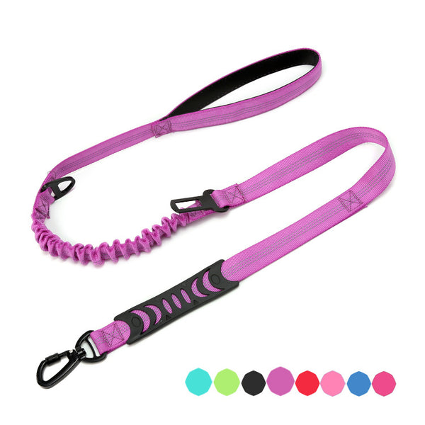 Laisse Bungee pour chien