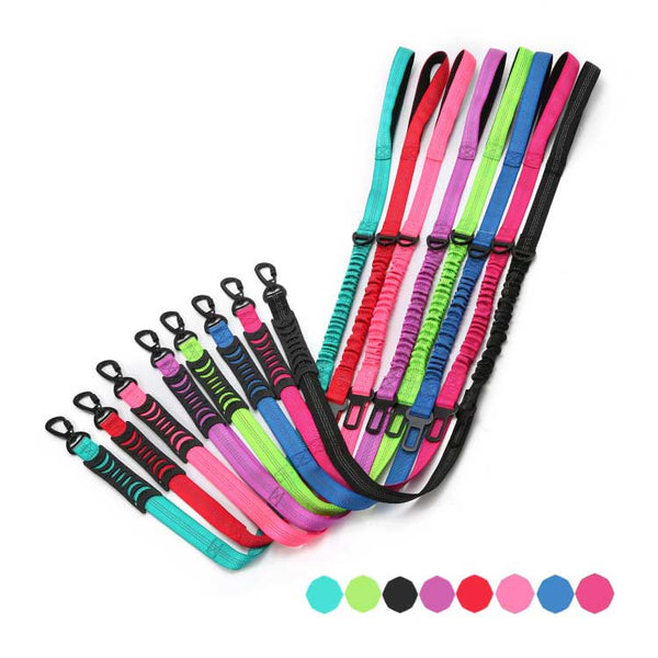 Laisse Bungee pour chien