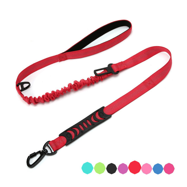Laisse Bungee pour chien