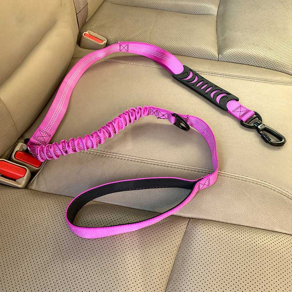 Laisse Bungee pour chien