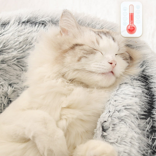 Lit Rond en forme de grotte en peluche pour Chat et Petit Chien – Confort douillet et sécurisant