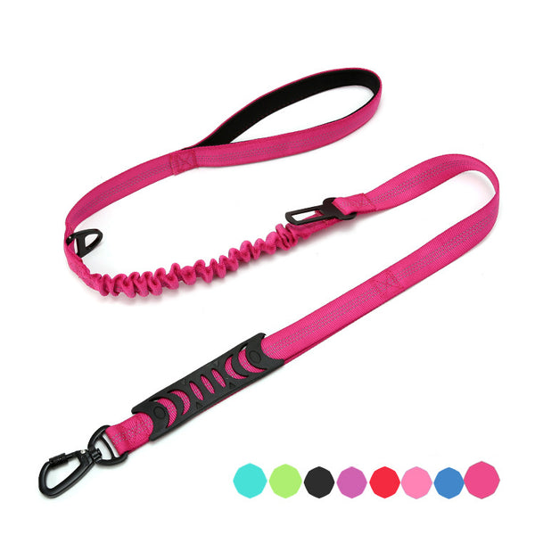 Laisse Bungee pour chien