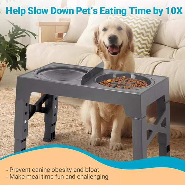 Gamelles surélevées réglables pour chiens et chats – confort, santé et praticité à chaque âge