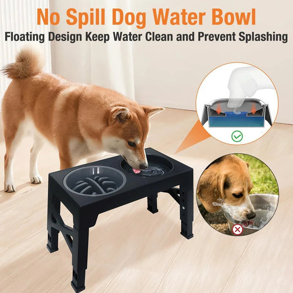 Gamelles surélevées réglables pour chiens et chats – confort, santé et praticité à chaque âge