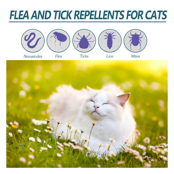Produit anti-puces et tiques pour chiens ou chats
