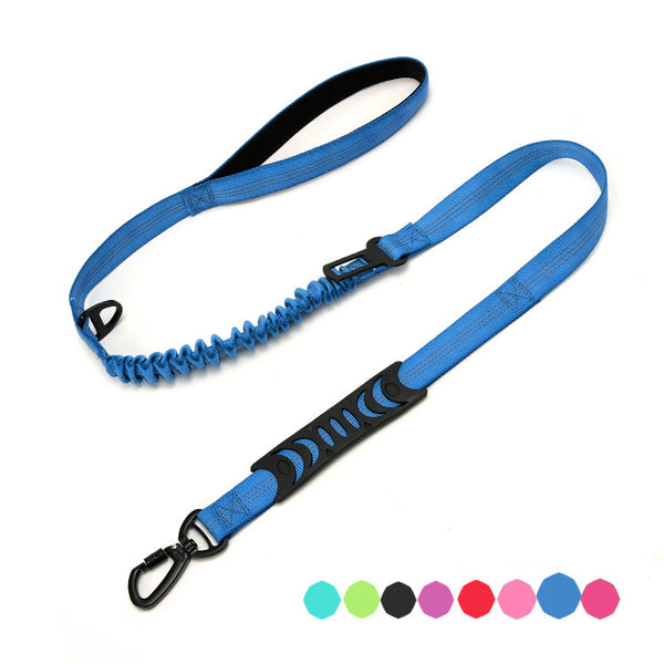 Laisse Bungee pour chien