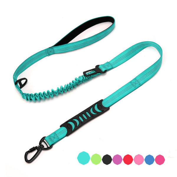 Laisse Bungee pour chien