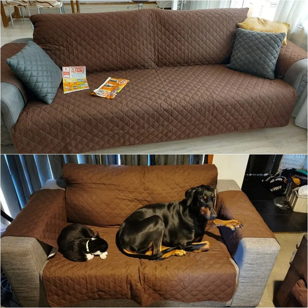 Housse protectrice imprerméable de divan pour chien et chat ou animaux