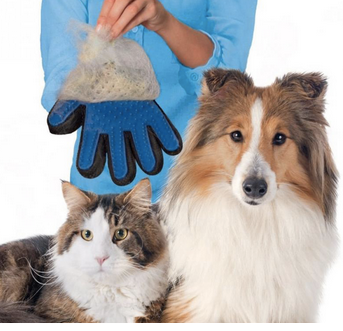 Gant brosse de nettoyage et massage pour chien et chat