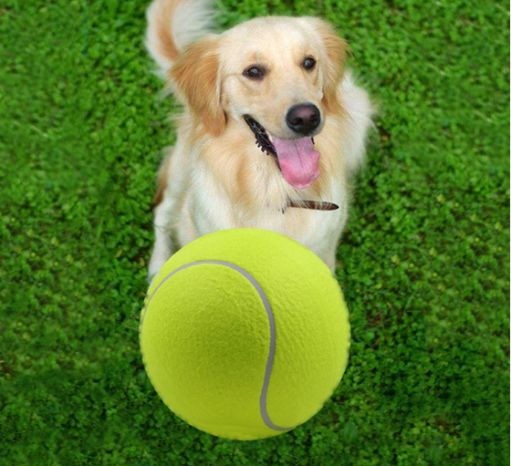 Balle de tennis géante pour chien