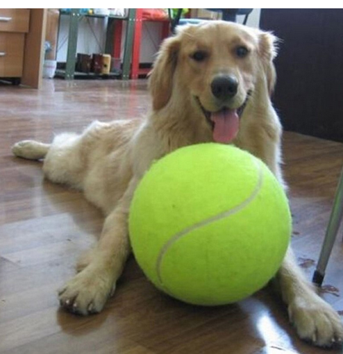 Balle de tennis géante pour chien