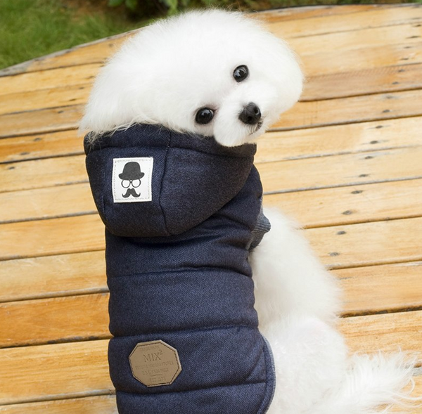 Manteau d'hiver chaud pour chien